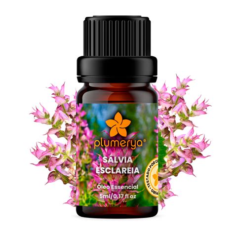 Sálvia Esclareia 5ml Salvia sclarea Plumerya