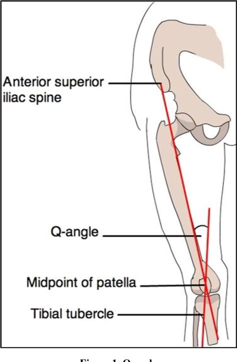 Figure 1 From Effect Of Body Positions On Quadriceps Angle Measurement