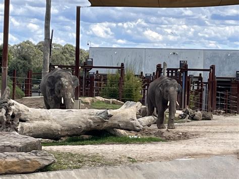 Animals at Sydney Zoo. : r/sydney