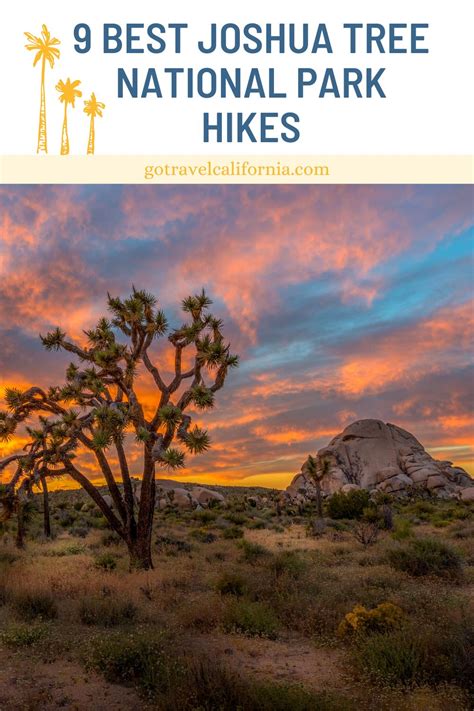 9 Best Joshua Tree Hikes Go Travel California