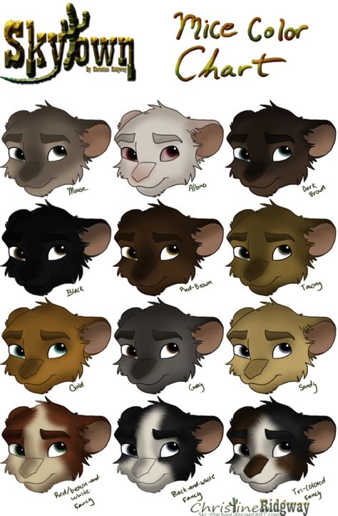 Rat Color Chart - Ponasa