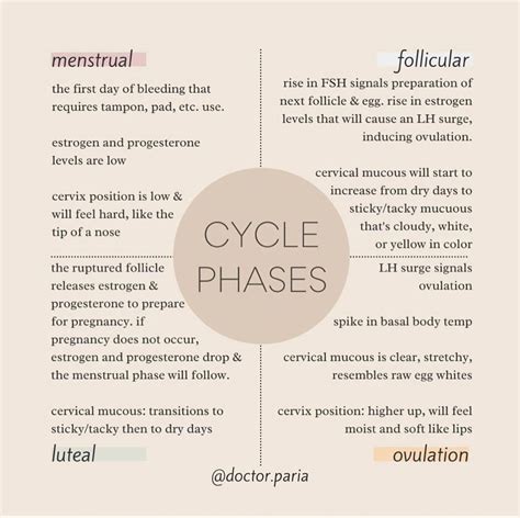 Printable menstrual cycle and symptoms charts – Artofit