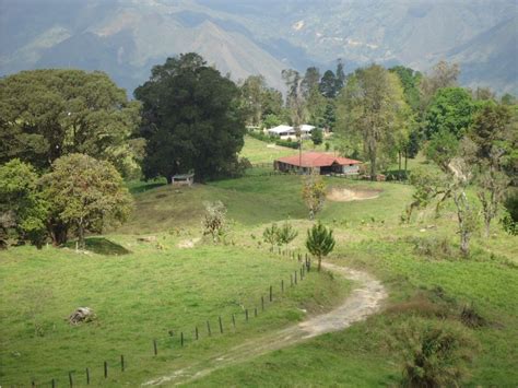 Finca En Venta Pacho Cundinamarca 90579 0 1 800 000 000 Cop