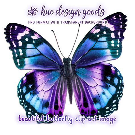 Beautiful Blue And Purple Butterfly Sublimation Clipart Image Realistic Butterfly Png Clip Art