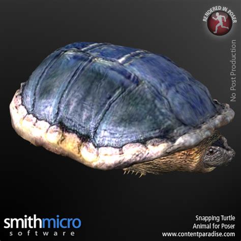 Snapping Turtle Legacy Discounted Content Poser_Software