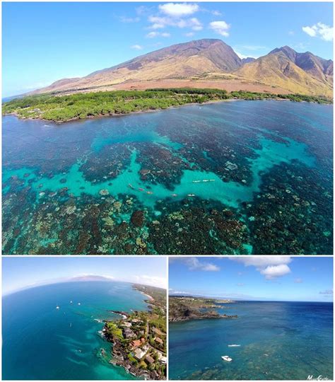 Hawaiian Outrigger Canoe Tours Maui Local Tips