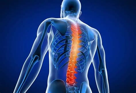 Spine Surgery For Long Beach Ca Coast Neurosurgical Associates