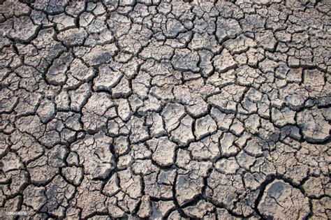 Soils That Dry And Crack From Thirst Stock Photo Download Image Now