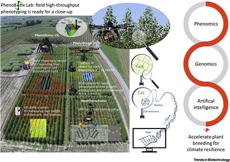 Accelerating Climate Resilient Plant Breeding By Applying Next