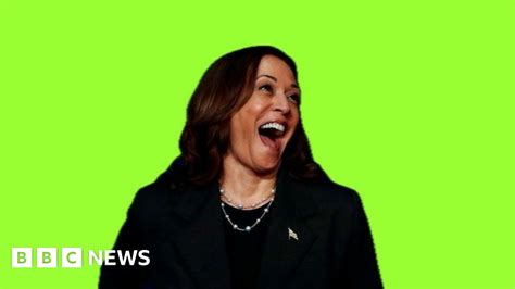 Kamala Harris Coconuts And Brat A New Viral Campaign