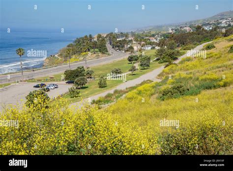 Aerial View Of Wildflowers Blossom And Ocean At Angels Gate Park San