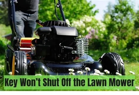 Why Does My Lawn Mower Keep Blowing Fuse Lawnask