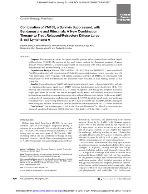 Pdf Combination Of Ym A Survivin Suppressant With Bendamustine