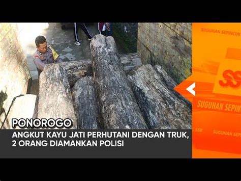 Ponorogo Angkut Kayu Jati Perhutani Dengan Truk Orang Diamankan