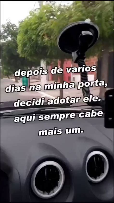 Catioro Reflexivo On Twitter Adotado E Pronto Agora Voc Meu Filho