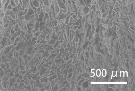 一种生物降解植物纤维基轻量化高强韧材料及其加工工艺