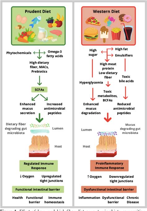 Figure 1 From Short Chain Fatty Acids Mediators Between Microbiota And