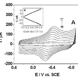 Cyclic Voltammograms Obtained At Mwnts Modified Electrode A And