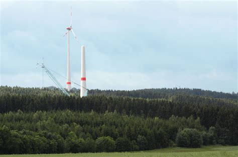 Gerichtsurteil Generelles Verbot von Windkraft im Wald unzulässig