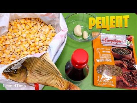 ЛУЧШАЯ КУКУРУЗА для КАРПОВОЙ РЫБАЛКИ. КУКУРУЗА для ФИДЕРА - YouTube ...