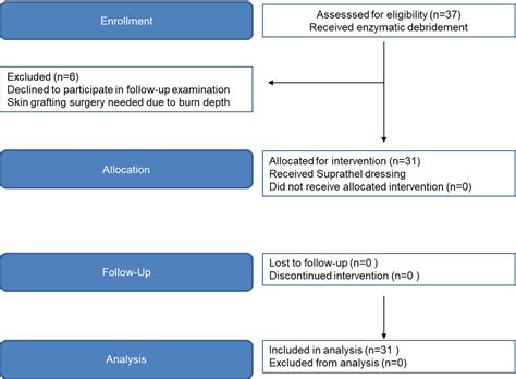 Figure 1 From Assessing The Effect Of Enzymatic Debridement On The Scar