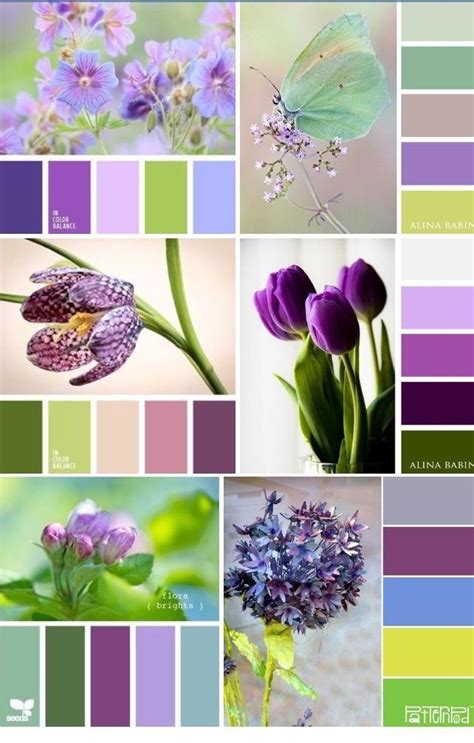 House Color Palettes Color Schemes Colour Palettes Color Palette