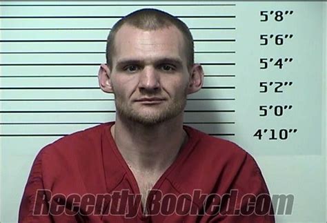 Recent Booking Mugshot For CHRISTOPHER ALLEN RYAN FINCH In Rhea