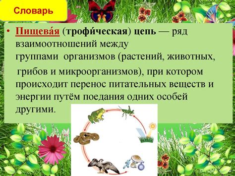 Природные сообщества - презентация онлайн