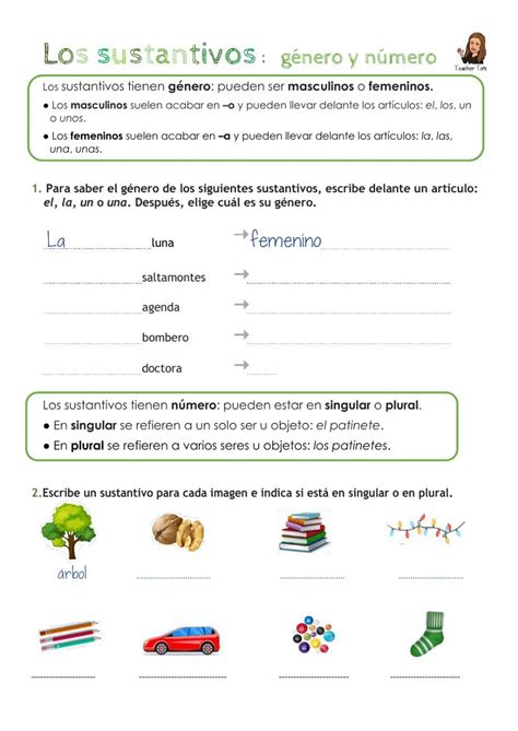 Ejercicio De Sustantivos G Nero Y N Mero Spanish Activities School