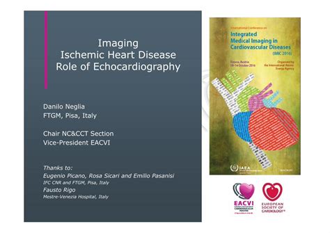 Pdf Imaging Ischemic Heart Disease Role Of Echocardiography · Pdf