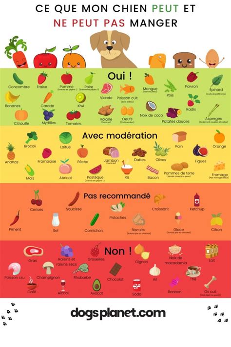 Alimentation Ce Que Les Chiens Peuvent Manger Ou Non Animauxfun