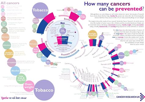 What Is The Cause Of All Cancers - CancerWalls