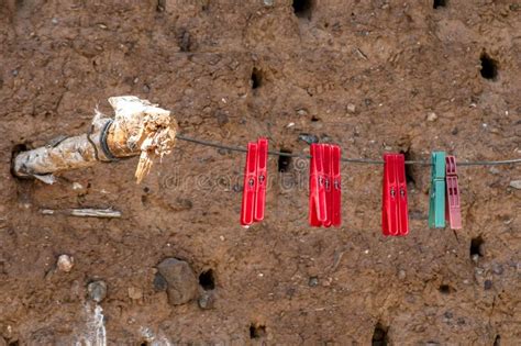 Plastic pegs on string stock photo. Image of clothesline - 167209920