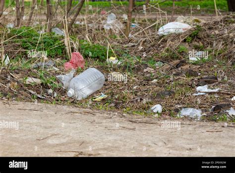 Spring Forest Stream River Garbage Waste Plastic Tire Glass Bottles