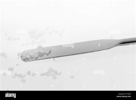 Spatula Hi Res Stock Photography And Images Alamy