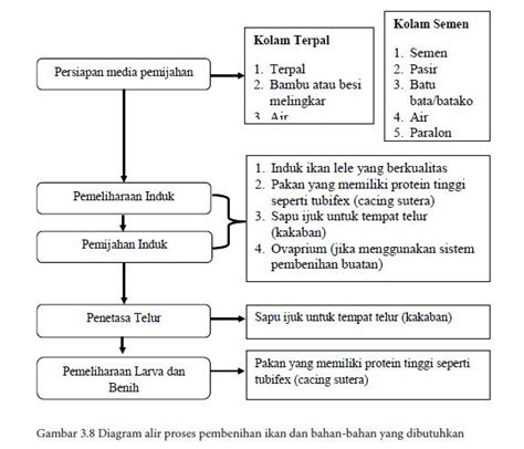 Rangkuman Materi Prakarya Kelas 11 Kurikulum 13 Bab 3 Budidaya