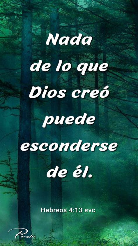 Hebreos 4 13 ʀᴠᴄ En 2023 Palabra De Dios Biblia Palabra De Vida