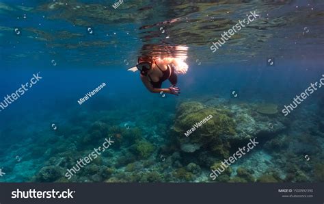 Sexy Girl Wearing Bikini Freediving Crystal стоковая фотография