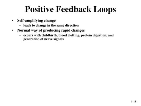 Difference Between Positive And Negative Feedback Loops Guluho