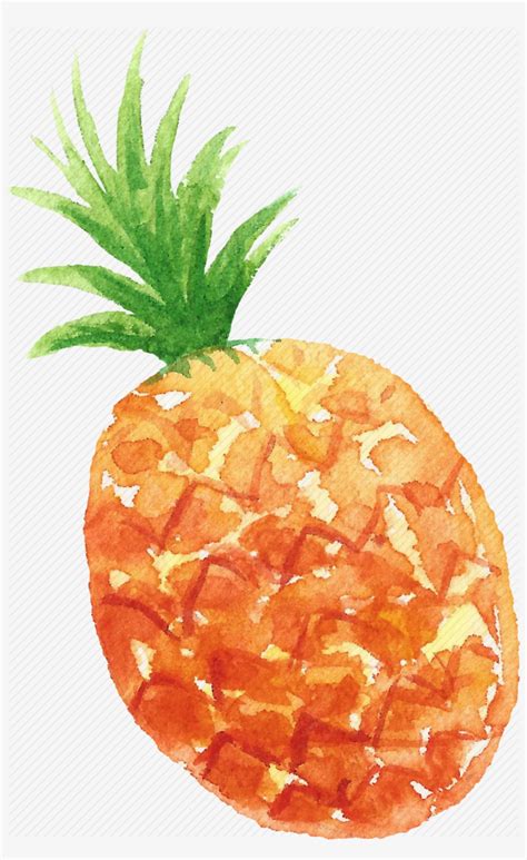 Vector Royalty Free Stock Transparent Watercolors Pineapple