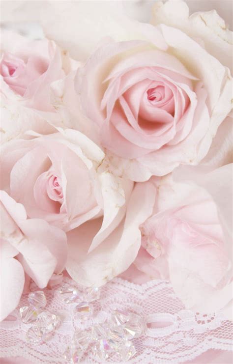 100 Baby Pink Backgrounds