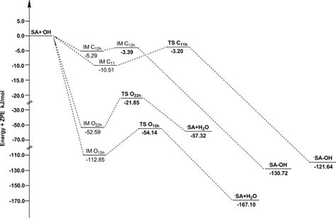 The Potential Energy Surfaces For The Reactions Of Sa With ·oh In Water Download Scientific