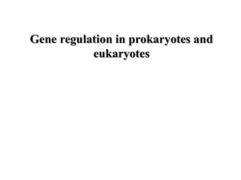 Solution Gene Regulation In Prokaryotes And Eukaryotes Studypool