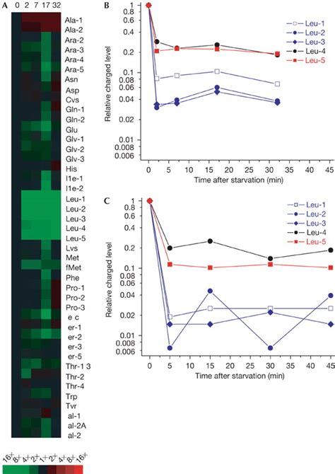 Selective Charging Of Trna Isoacceptors Induced By Amino‐acid