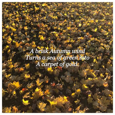 Haiku: Appreciating Autumn Leaves | Forged Mettle Farm