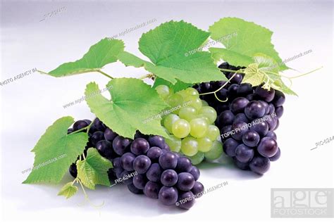 Purple table grapes and green table grapes, Stock Photo, Picture And ...