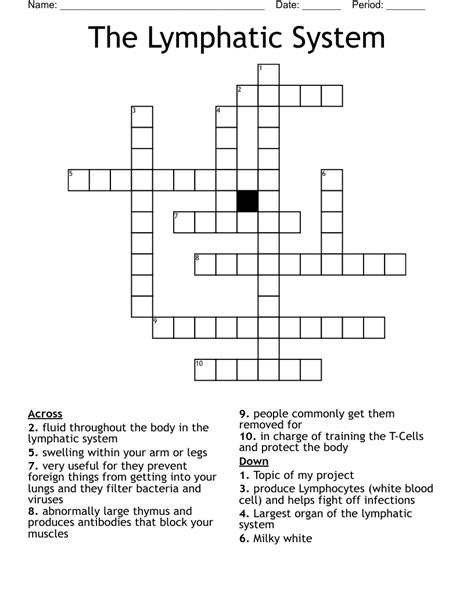 The Lymphatic System Crossword Wordmint