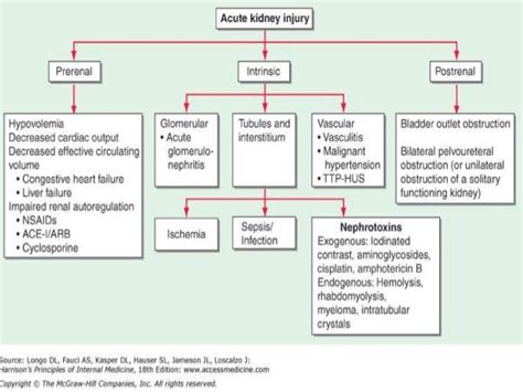 Acute renal failure : Definition, Etiopathogenesis, Symptoms, Treatment ...