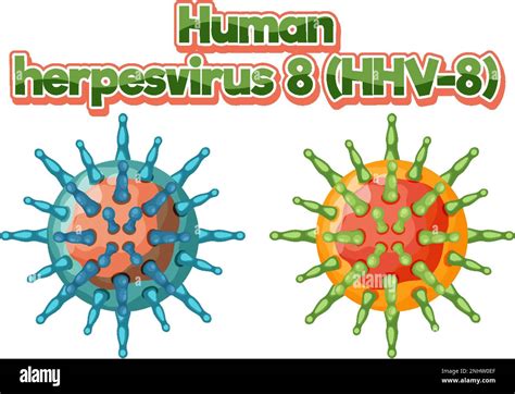 Human Herpesvirus 8 Hhv 8 On White Background Illustration Stock