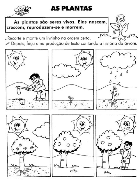 Atividade De Ciências 2 Ano Para Imprimir